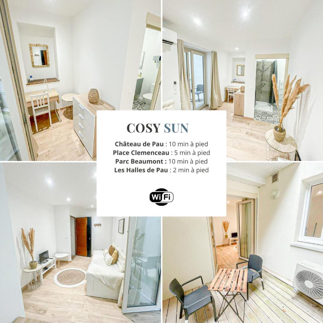 Apartament Cosy Sun - 1Ch - Avec Patio Privatif Pau Zewnętrze zdjęcie